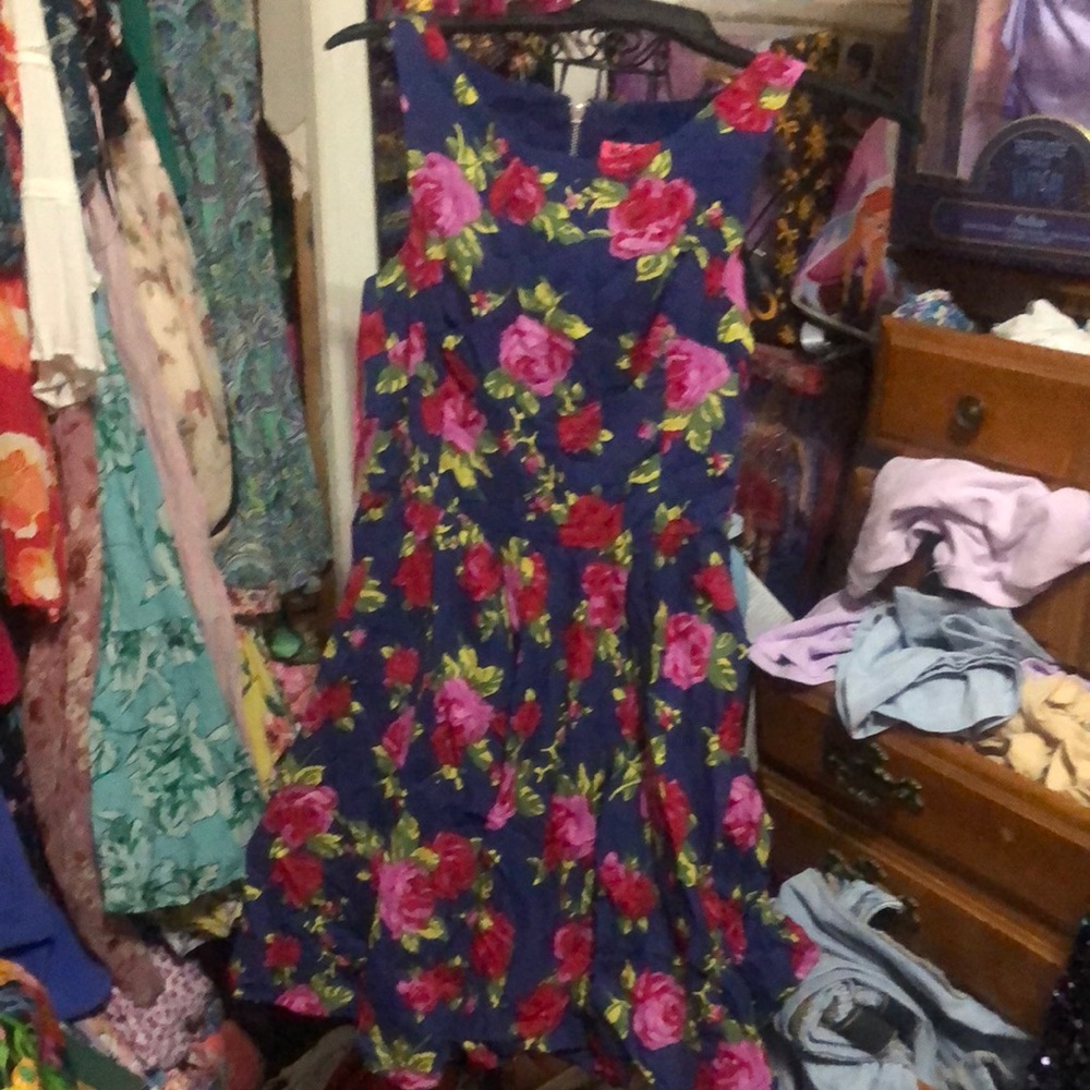 Betsey Johnson Pink and Blue Fit and Flare Midi Dress